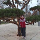  ,   , 62 ,  