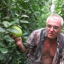  --,   , 63 ,   ,   , c 