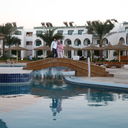  ,   89084206077, 51 ,  