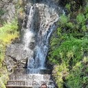 ���������� ����������-���������, ���� ������� ���, 41 ���, ������������ ��� ������, ����� � ���������