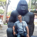  ,   , 44 ,   