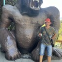 ���������� �����, ���� ������� ������, 31 ���, ������������ 