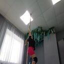  ,   , 30 ,   ,   