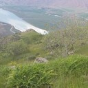 ���������� ������������, ���� ������� ��������� �, 40 ���, ������������ ��� ������, ����� � ���������, ���������