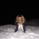 ���������� ���������, ���� ������� ����, 38 ���, ������������ ��� ������