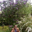 ���������� �������, ���� ������� �����, 37 ���, ������������ ��� ������, ����� � ���������, c�������� ���������