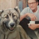   ,   , 65 ,   ,   