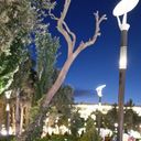 ���������� ������, ���� ������� �����, 34 ����, ������������ ��� ������