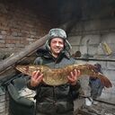 ���������� �����, ���� ������� ���������, 32 ����, ������������ ��� ������, ����� � ���������