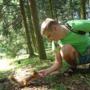 ���������� ��������, ���� ������� ����, 38 ���, ������������ ��� ������, ����� � ���������, c�������� ���������, ���������