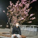 ���������� ����, ���� ������� ��������, 29 ���, ������������ ��� ������, ����� � ���������, c�������� ���������