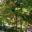  ,   Perch87, 38 ,   