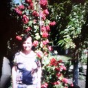  ,   , 51 ,     , c 