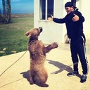 ���������� ������, ���� ������� �����, 37 ���, ������������ ��� ������, ����� � ���������, c�������� ���������, ���������