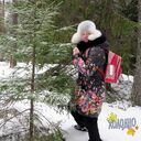 ���������� �����, ���� ������� ����, 65 ���, ������������ ��� c�������� ���������