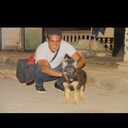 ���������� �����, ���� ������� Alx, 35 ���, ������������ ��� ����� � ���������, c�������� ���������