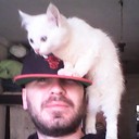 ���������� �����������, ���� ������� ���������, 36 ���, ������������ ��� ������, ����� � ���������, c�������� ���������