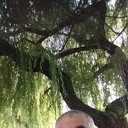 ���������� ����, ���� ������� ���, 54 ����, ������������ ��� ������, ����� � ���������, c�������� ���������