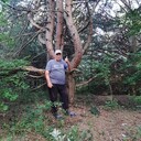  ,   , 73 ,   ,   