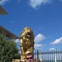 ���������� ���������, ���� ������� ��������, 38 ���, ������������ ��� ������, ����� � ���������, c�������� ���������