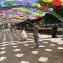 ���������� ������, ���� ����� ����, 25 ���, ������������ ��� ������, ����� � ���������