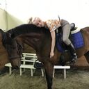 ���������� ������, ���� ������� ����, 23 ����, ������������ ��� ������, ����� � ���������, c�������� ���������, ���������