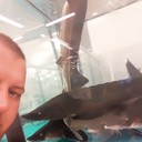 ���������� ���������, ���� ������� ��������, 33 ����, ������������ ��� ����� � ���������, c�������� ���������