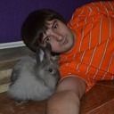 ���������� ���������, ���� ������� ������, 36 ���, ������������ ��� ����� � ���������, c�������� ���������