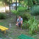 ���������� �������, ���� ������� ����, 32 ����, ������������ ��� ������