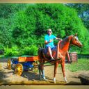 ���������� �������, ���� ������� �������, 42 ����, ������������ ��� ����� � ���������, c�������� ���������