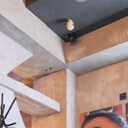 ���������� �����-���������, ���� ������� � � � � �, 32 ����, ������������ ��� ������, ����� � ���������