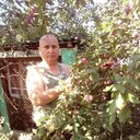  -,   , 56 ,   ,   , c 