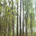 ���������� �����-���������, ���� ������� ���������, 60 ���, ������������ ��� ������, ����� � ���������, c�������� ���������