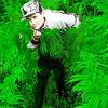  ,   ARTEM, 40 ,   , 
