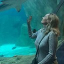 ���������� �����-���������, ���� ������� ������, 51 ���, ������������ ��� ������, ����� � ���������