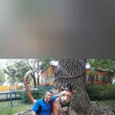 ���������� �����, ���� ������� �������, 38 ���, ������������ ��� ����� � ���������, c�������� ���������