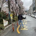 ���������� Kosong, ���� ����� Nagi, 24 ����, ������������ ��� ������, ����� � ���������