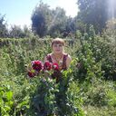  ,   , 48 ,   , 