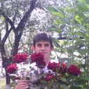  ,   , 38 ,     , c 