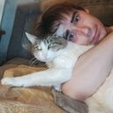 ���������� �����, ���� ������� ������, 27 ���, ������������ ��� ������, ����� � ���������, c�������� ���������, ���������