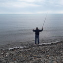  -,   , 43 ,   ,   , c 