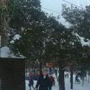 ���������� ��������, ���� ������� ������, 44 ����, ������������ ��� ������, ����� � ���������