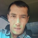 ���������� ������, ���� ������� Golib, 37 ���, ������������ ��� ������, ����� � ���������, ���������