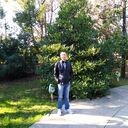 ���������� ���������, ���� ������� ���������, 40 ���, ������������ ��� ������, ����� � ���������