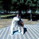  ,   , 29 ,     , c 