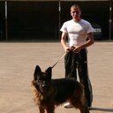 ���������� �������, ���� ������� �����, 38 ���, ������������ ��� ������, ����� � ���������, c�������� ���������