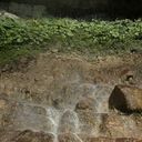 ���������� ����, ���� ������� SOLIDUS, 50 ���, ������������ ��� ����� � ���������, c�������� ���������