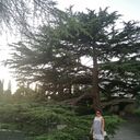 ���������� ������, ���� ������� �������, 49 ���, ������������ ��� ����� � ���������, c�������� ���������, ���������