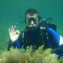 ���������� ����, ���� ������� ������, 41 ���, ������������ ��� ������, ����� � ���������, c�������� ���������, ���������