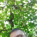 ���������� ������, ���� ������� ������, 44 ����, ������������ ��� ������, ����� � ���������, c�������� ���������